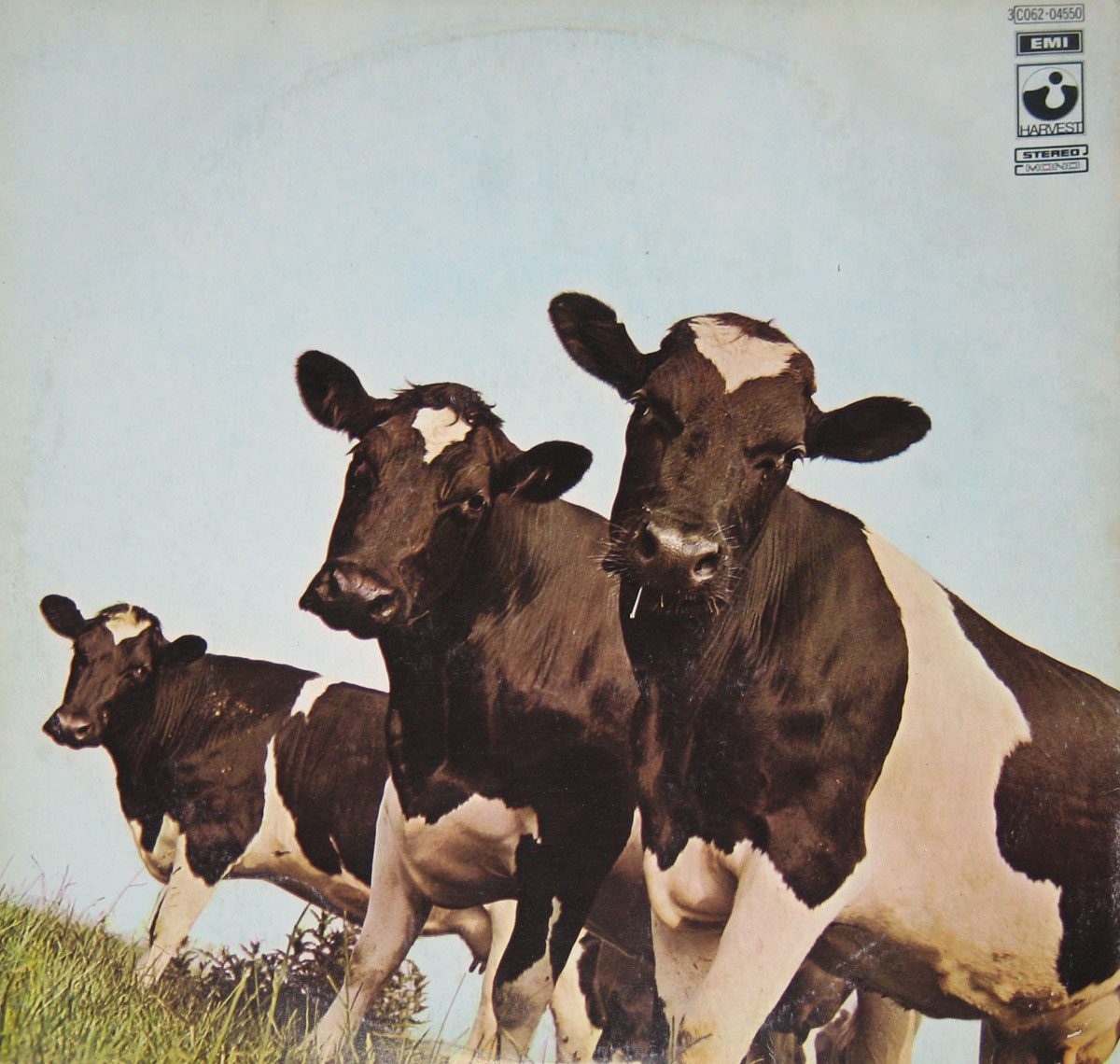 High Resolution Photo #2 PINK FLOYD Atom Heart Italy 